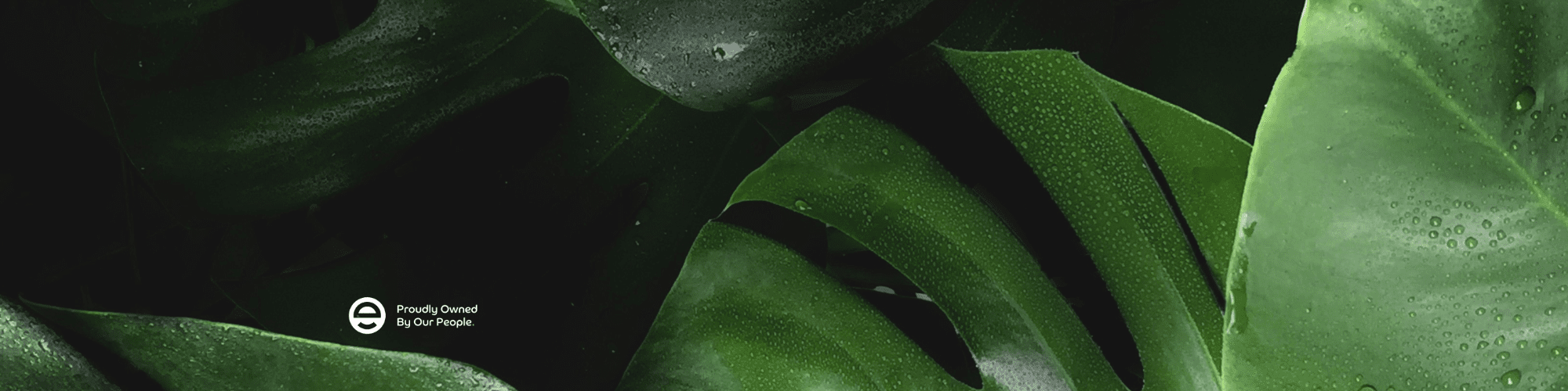 Banner Default Image